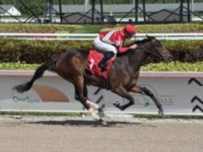 Four Graces, Venetian Harbor Vie in Raven Run Stakes Image 1